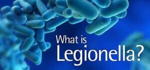 Legionella, Cos&#8217;è la legionella? Niente allarmismi ma buon senso