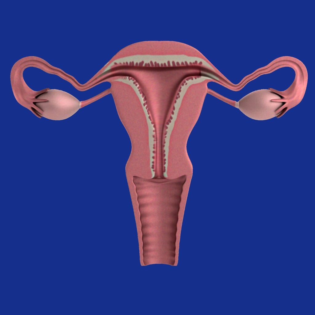 fibromi, Fibromi uterini ed isterectomia: la menopausa chirurgica