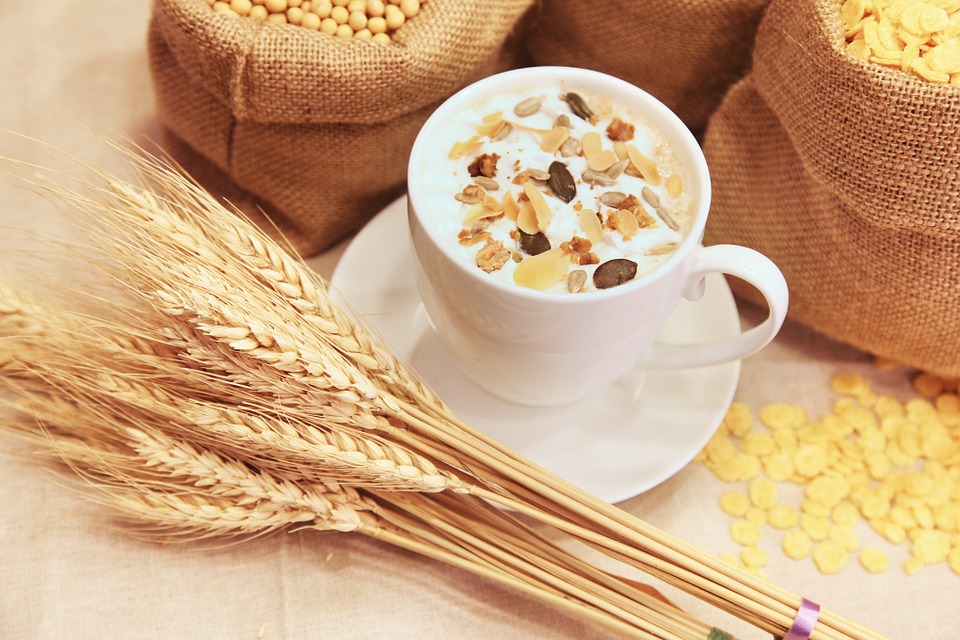 cereali, Alla scoperta dei cereali: conosciamo meglio l’avena