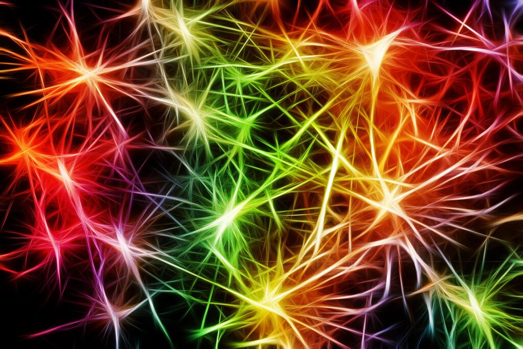 Il cambiamento, Il cambiamento non ha età: le nostre cellule neuronali sono guidate da una &#8220;danza plastica&#8221; che dura tutta la vita