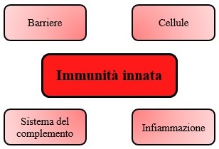 Il sistema immunitario... in breve, Il sistema immunitario&#8230; in breve