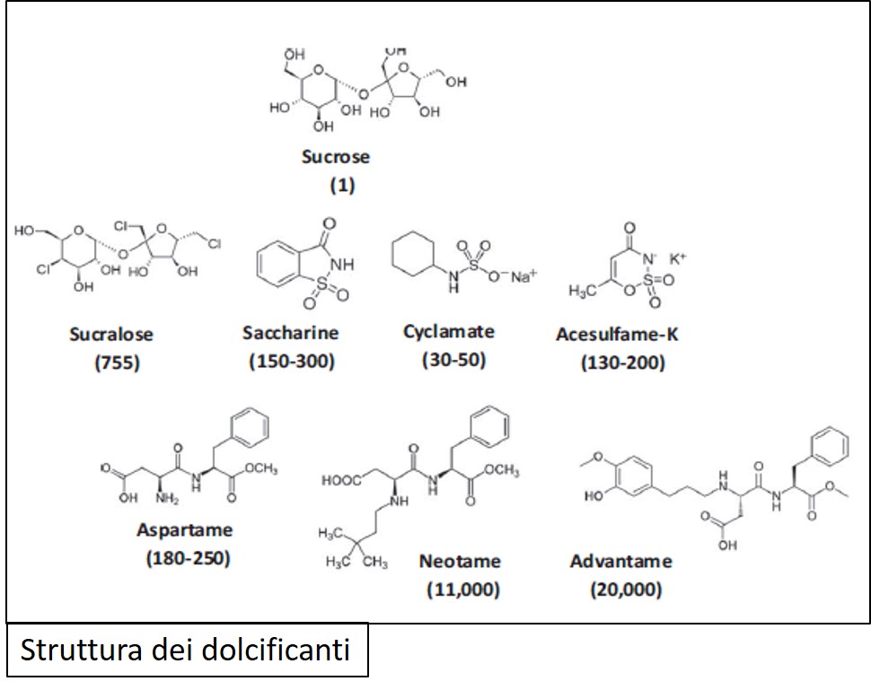 Àncora di salvezza per chi è a dieta o chi è diabetico o per chi è attento alla propria salute e non vuole esagerare con gli zuccheri raffinati ma neanche privarsi della delizia di un dolcetto o del caffè non amaro, i dolcificanti sono sempre nell’occhio del mirino. Vediamo come sono fatti e se impattano sullo stato di salute, I Dolcificanti