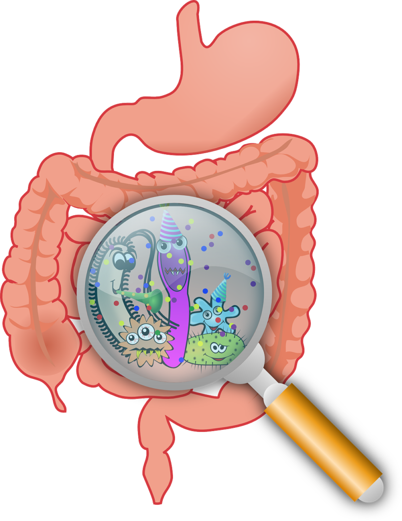 microbiota, IL MICROBIOTA: MILIARDI DI AMICI PER IL NOSTRO BENESSERE