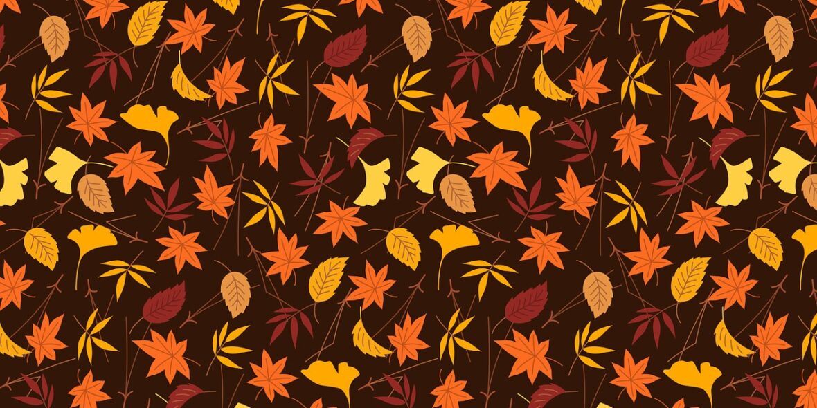 Cosa accade alle foglie in autunno?